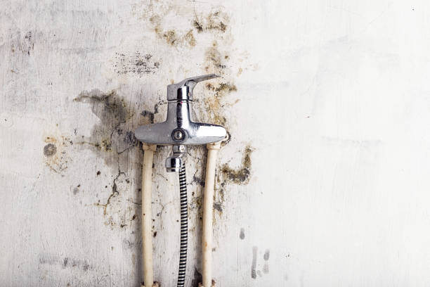 Best Water Damage Restoration  in Granville, OH
