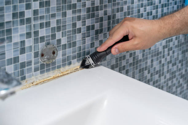 Best Emergency Mold Removal  in Granville, OH